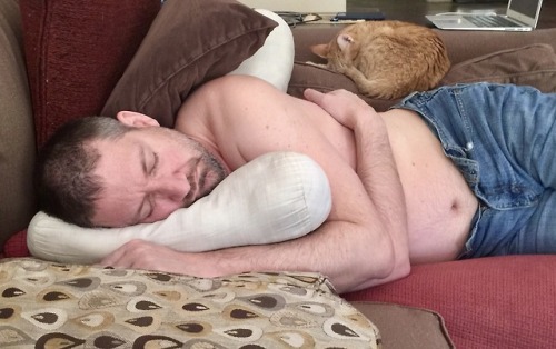 Daytime cat naps are essential