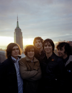 casaplankas:  the strokes by Collin Lane