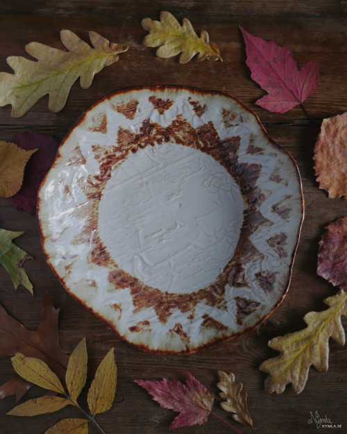 In the shop: woodborer and bark plates. All of them different from eachother. Does anyone else enjoy