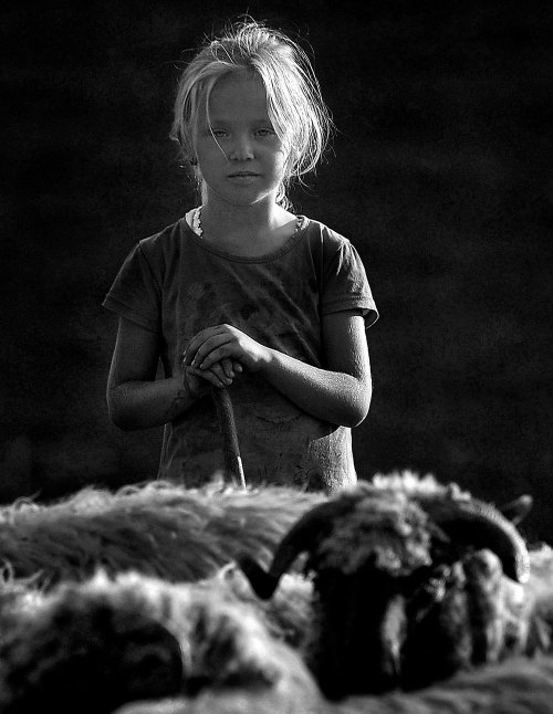 yama-bato: Kerekes István www.dodho.com/transylvanian-shepherds-by-kerekes-istvan/