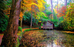 octoberyet:  All the colours of the rainbow in autumn at Alfred Nicholas Gardens by Elana Bailey  that&rsquo;s just awesome.