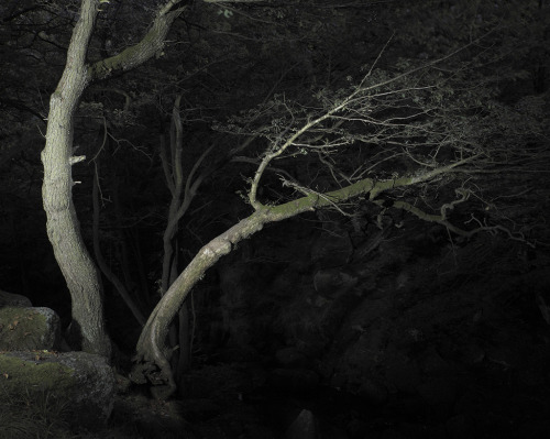 lazy-painting:  Nightscapes.  