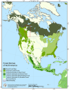 Forest Biomes of North America.