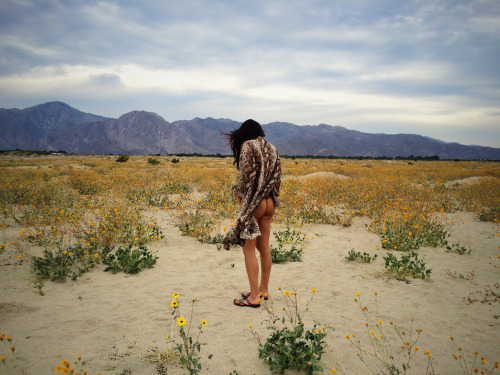 “Desert Bloom”Anita in Anza-Borrego Desert, CA. March 2015