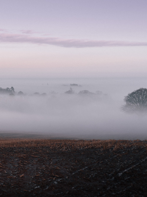 ardley: Valley fog above Enmore Castle, Somerset 2021Limited Edition prints from £75 - Visit Print S