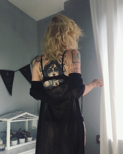 🐈 SYKEND 13