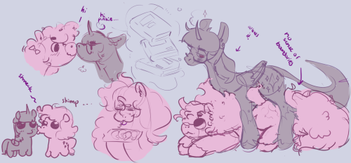 candycl0wn:autism gay ponies