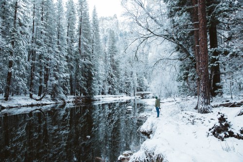 jakechams:  Snowy Yosemite 