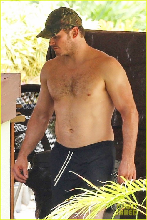 ngaging: hotcelebsnakedguysgayporn: Chris Pratt: Shirtless, Wet and Bulging!