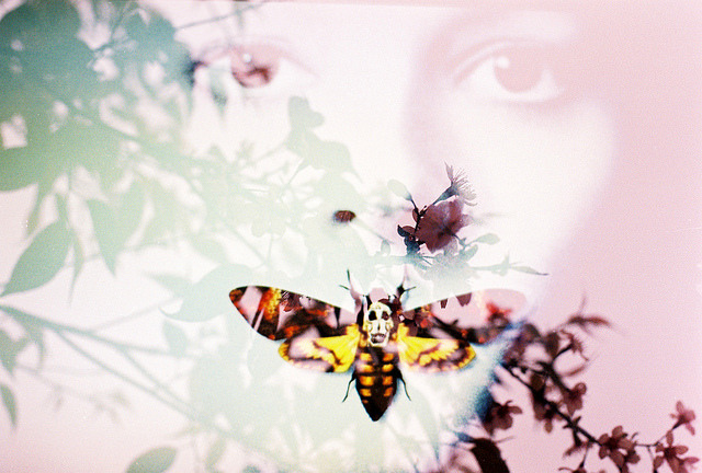 The Silence of the Lambs on Flickr.
Via Flickr:
First, I shot the whole roll of films of flowers; then I rewound the films and shot the second layer of famous horror movie’s posters.
• Camera: Nikon FM
• Film: Fuji ProPlus 200
• Blog | Tumblr