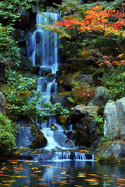 djferreira224:  Heavenly Falls in the Fall at the Japanese Gardens by Gigapic on