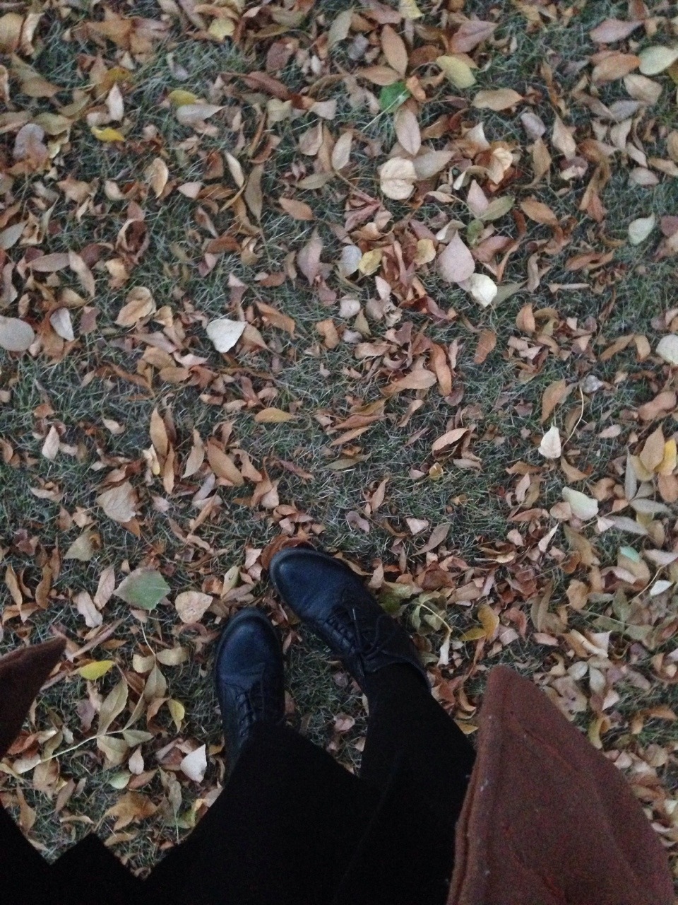 frails:  autumn is pretty 
