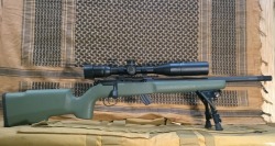 bluefouralpha:  Savage MK2 in .22LRBoyds