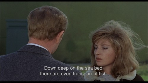 Monica Vitti Red Desert - The Red Desert Tumblr