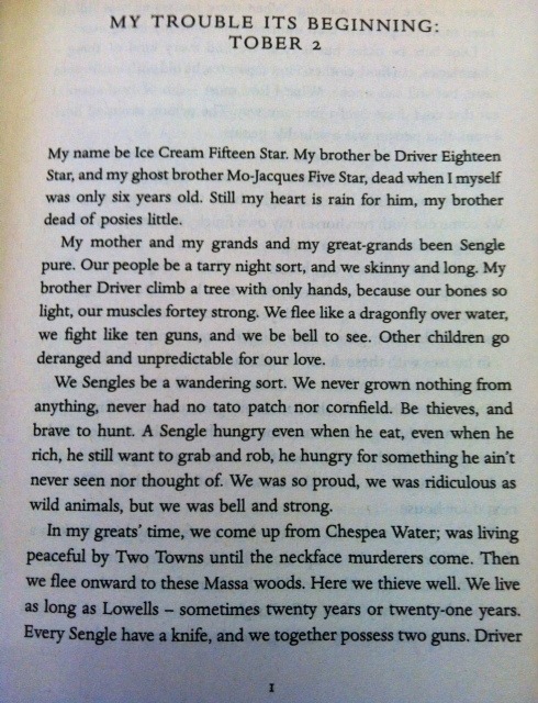 Great First Pages in Literary History
From The Country of Ice Cream Star by Sandra Newman.