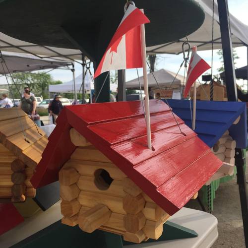 Beautiful bird houses #bird #birdhouse