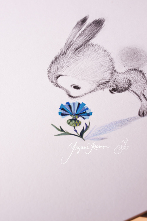 Thistles &amp; Rabbits - Pencils &amp; Gouache  by Yrgane RamonHappy Easter !