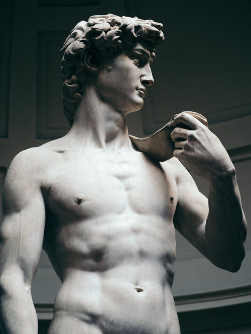 David, c. 1501-1504. Michelangelo, Florence, Galleria dell'Accademia