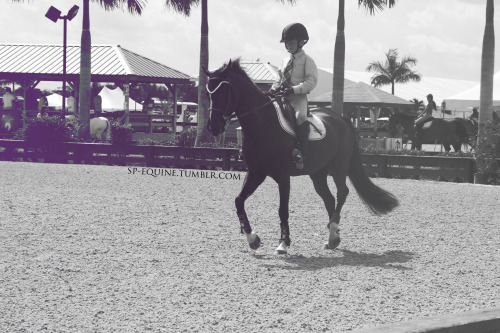 These two were the cutest pair!WEF &lsquo;13