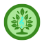 forestsongvn