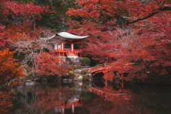iesuuyr:Kyoto, Japan |    	Armont van Dyck 	  	 						 			     