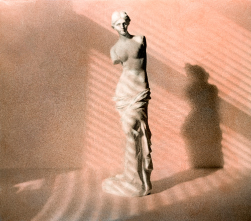 cschoonover:Venus de Milo photographed by Chris Schoonover in B&W. Hand Colored by his mother Li
