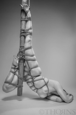 tho4ns:  Model: kittenbynightPhoto/Rigging: Tho4ns(Rope courtesy of Mocojute)