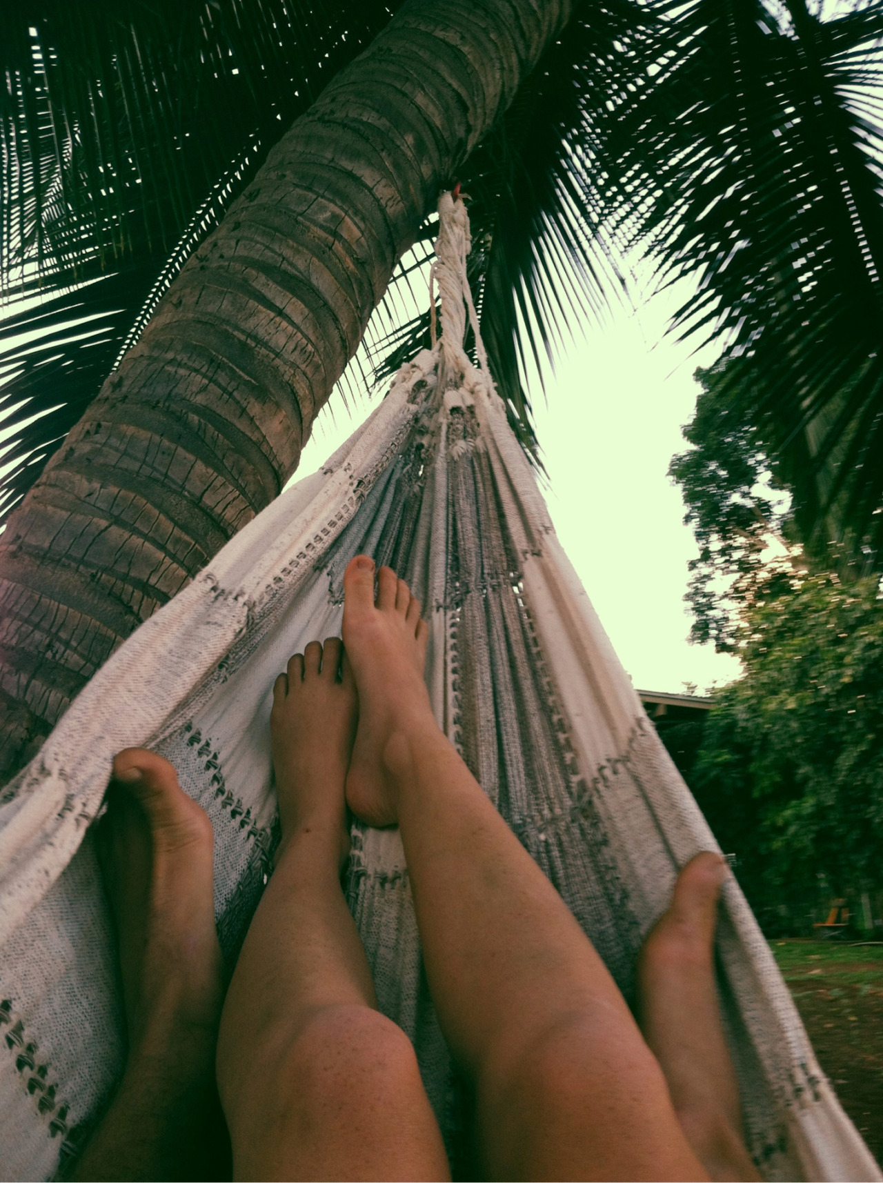 thelovenotebook:      Hammock w/ me?xoxoQYessss&hellip;.