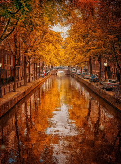 drxgonfly:  Amsterdam in Fall (by Armin Barth) / 500px