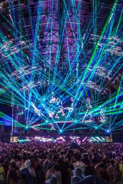 edmvibe:  UMF 2015 | AGP