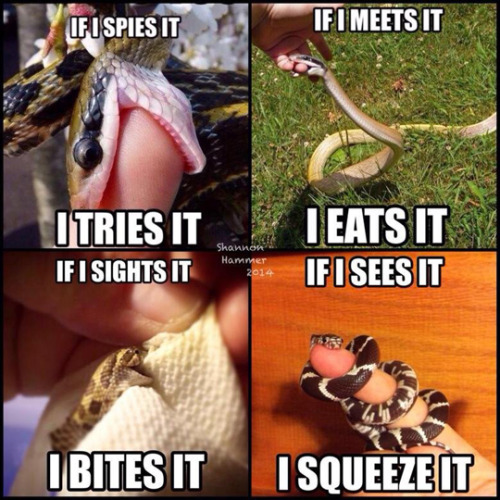 tastefullyoffensive:  Sneks (via mad_v)