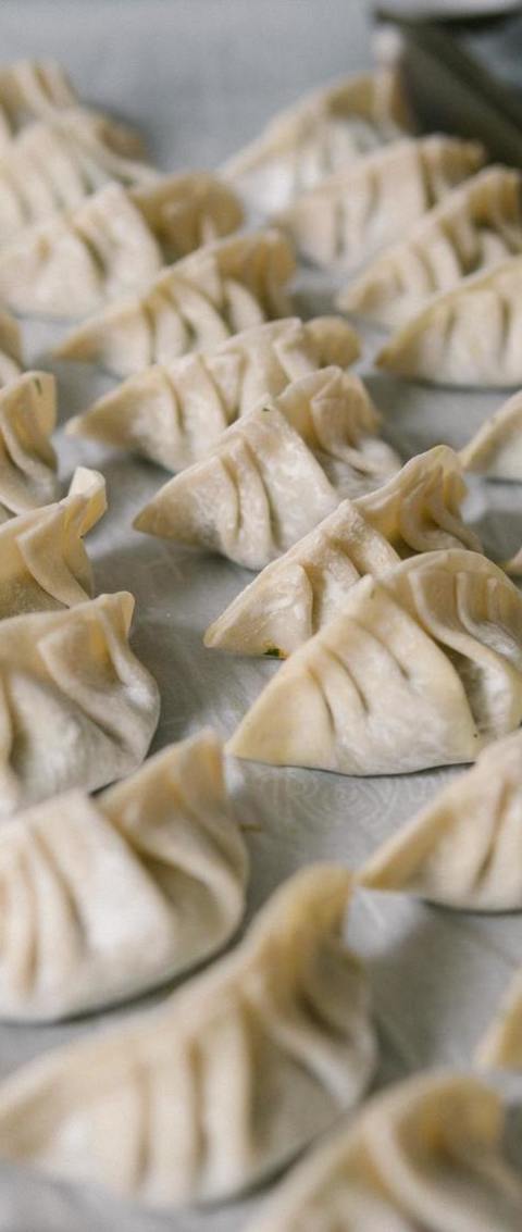 Japanese Dumplings With Shrimp Recipe