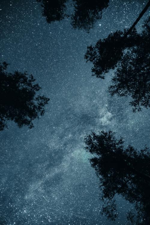 renamonkalou:  Look up | Kristaps Ungurs