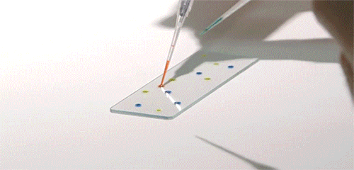 itscolossal:WATCH: Dancing Droplets: Researchers Solve the Strange Puzzle of Attraction Found in Drops of Food Coloring [video]