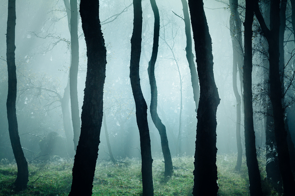 magic-spelldust:   	James Mills 	  	 						 			     
