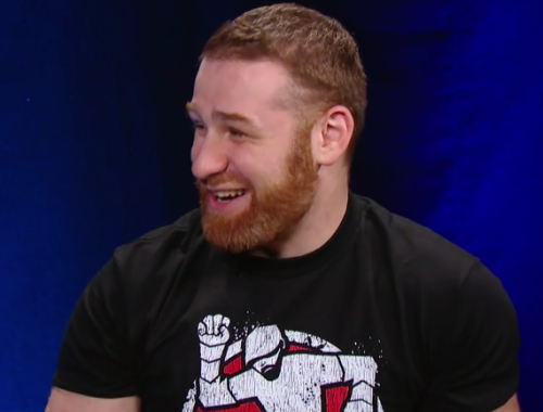 sunshinesamizayn:  The four stages of a radiant smile, presented to you by Sami Zayn.