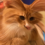 winvegas