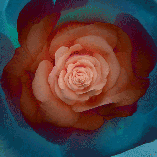 wetheurban:  Mesmerizing GIFs, Feliks Konczakowski Polish artist Feliks Konczakowski