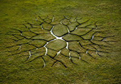 itscolossal:World Tree Land Art by Krisztián