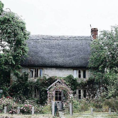 lilacremes:from @abbie_melle •••_This time last year, when roses rambled over all the cottages in th