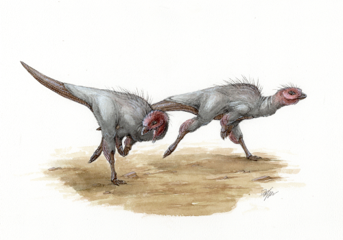 Kulindadromeus In Watercolor