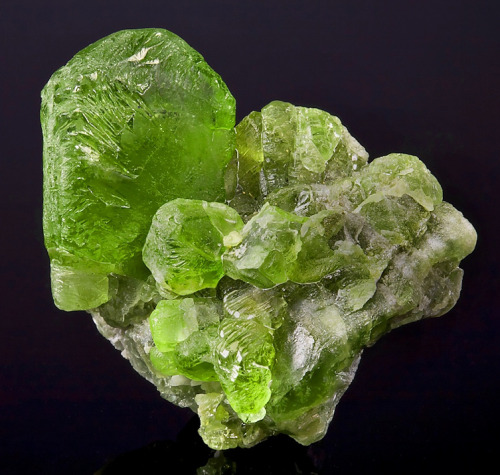 bijoux-et-mineraux:Peridot - Sapat Gali, Naran, Kaghan Valley, Mansehra District,Khyber Pakhtunkhwa,