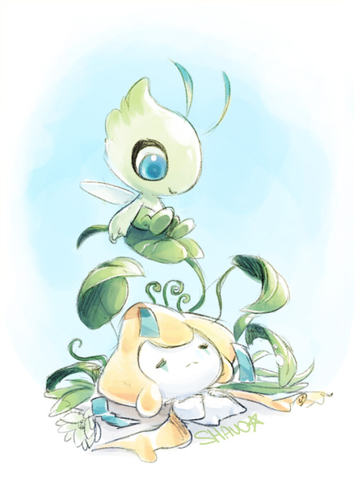 shavostars:  cute pokemon being CUTE 