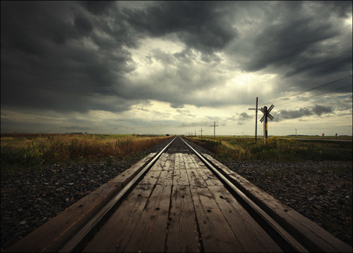 leebarguss:  On the Road // Pt. 5 (by Renaud JULIAN) 