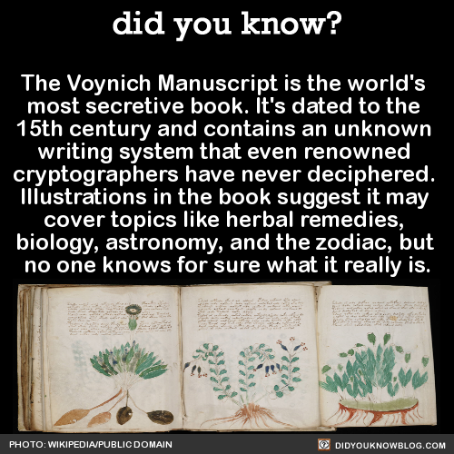 did-you-kno:  The Voynich Manuscript is the world’s  most secretive book. It’s