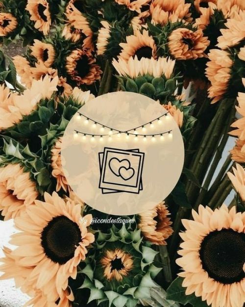 familiaarmani: Capas para organização Instagram.Postado: @diorglam