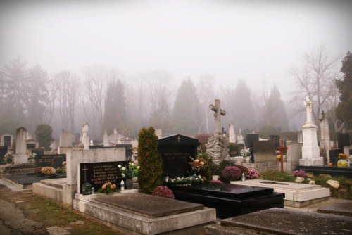 vanilleclair:  Mirogoj cemetery in Zagreb, Croatia 