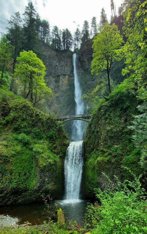 entertainmentnerdly: Multnomah Falls, Oregon. [OC] [2181x3474] via /r/EarthPorn ift.tt/3aXFw