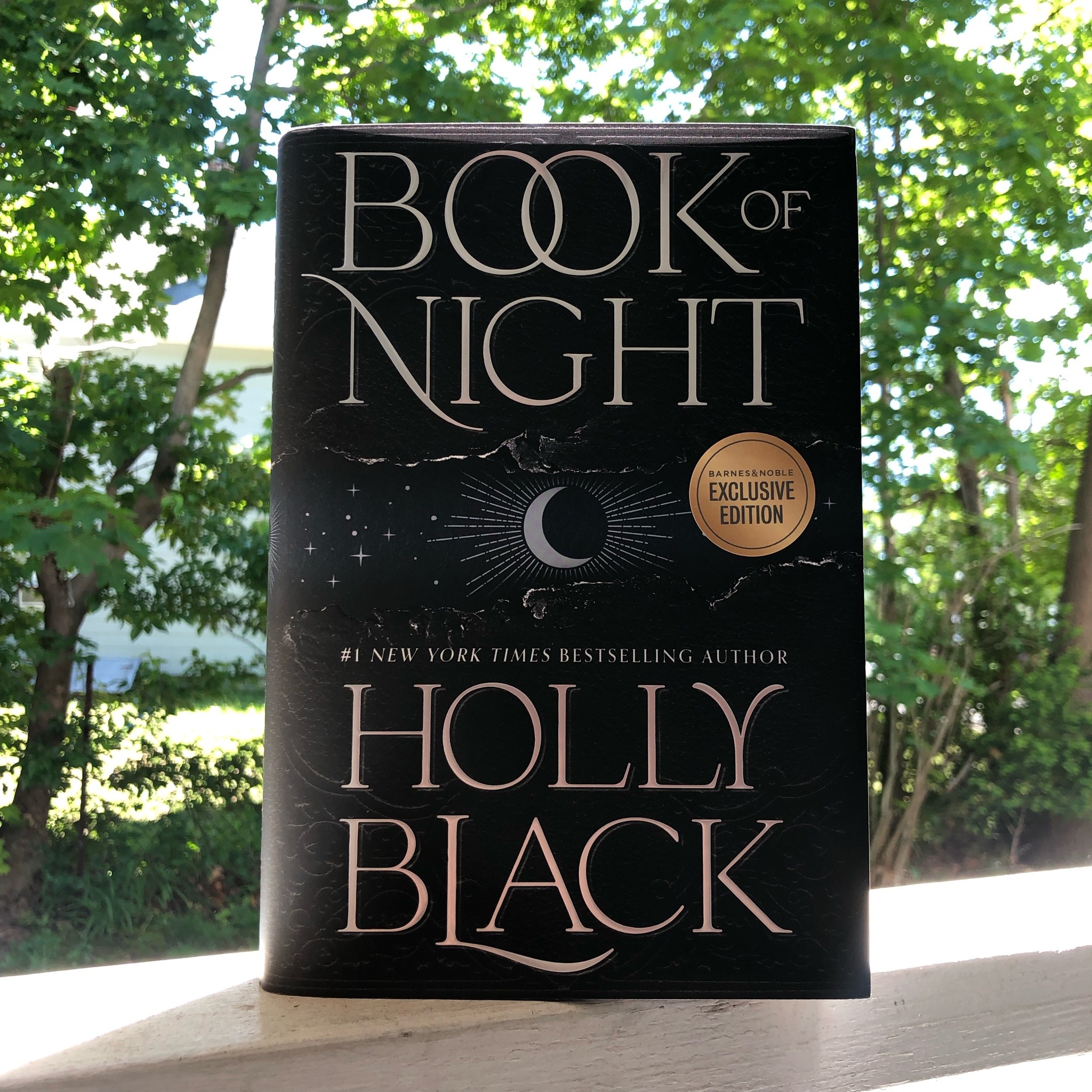 Photo of The Book if Night by Holy Black standing on a porch rail with green trees and lots of light in the background. 