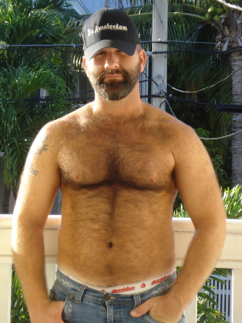 Bears and more.